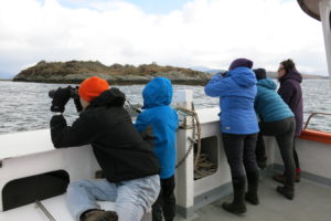 Seal Colony at The Creags off Oban with Etive Boat Trips