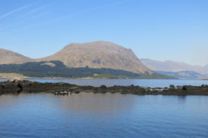 Seals in the Highlands by Etive Boat Trips