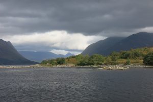 Seals at Loch Etive